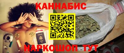 стаф Шебекино