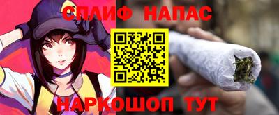 стаф Шебекино