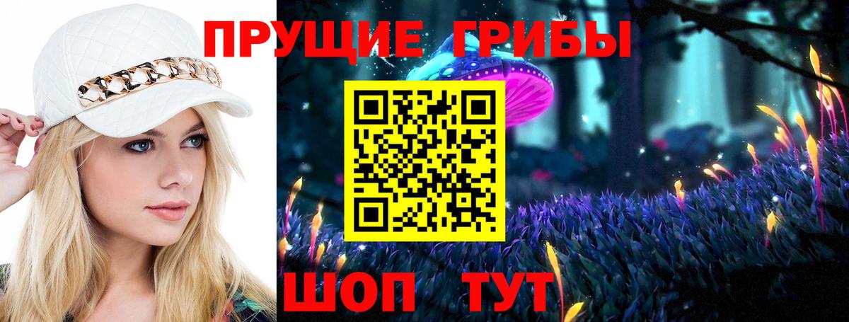 Псилоцибиновые грибы мицелий Ликино-Дулёво
